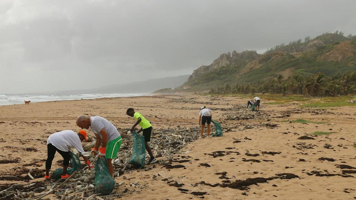 Volunteers collecting plastic on a beach