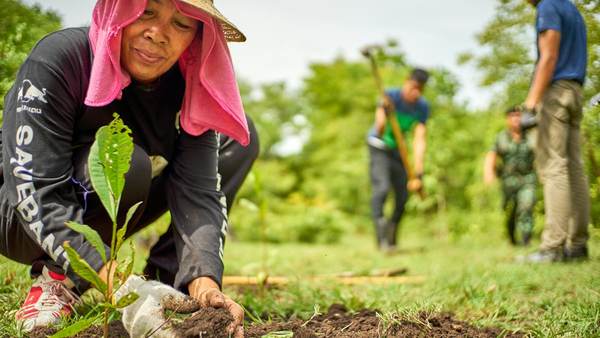A volunteer planting a young tree